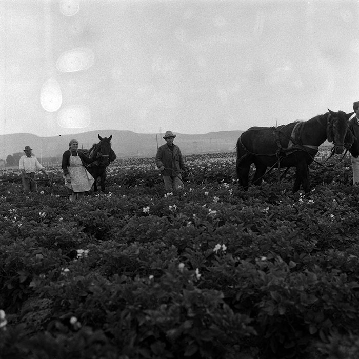 minerva_Agrar_c1_c5r2_010