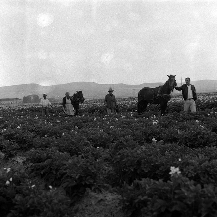 minerva_Agrar_c1_c5r2_011