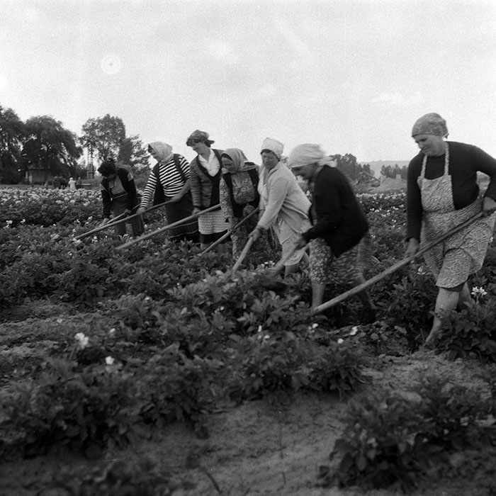 minerva_Agrar_c1_c5r2_012