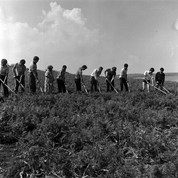 minerva_Agrar_c1_c5r2_013