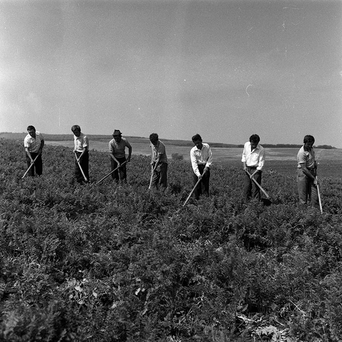 minerva_Agrar_c1_c5r2_014