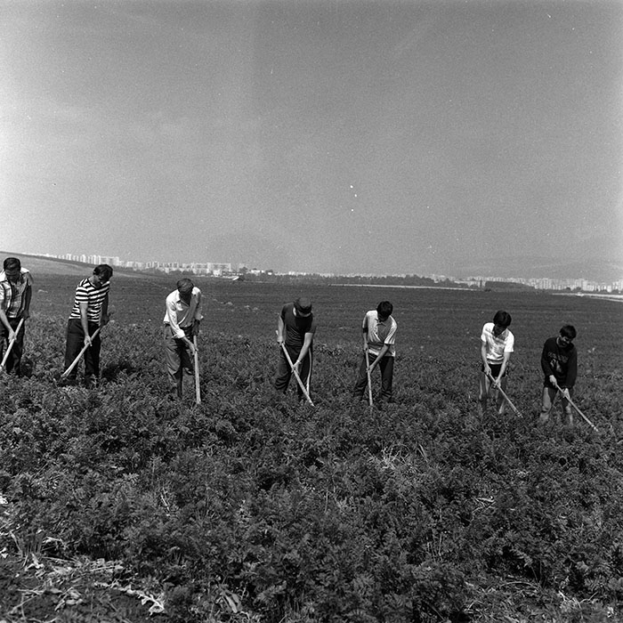 minerva_Agrar_c1_c5r2_015