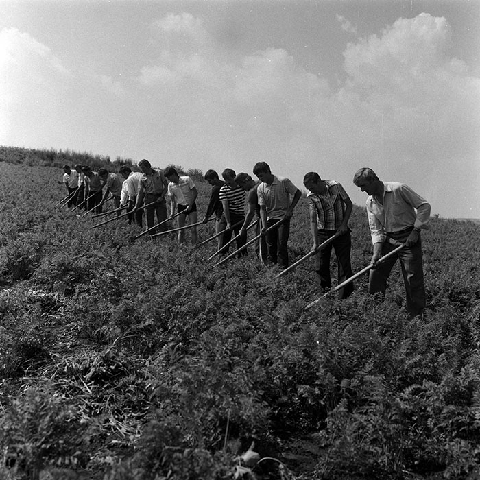 minerva_Agrar_c1_c5r2_017