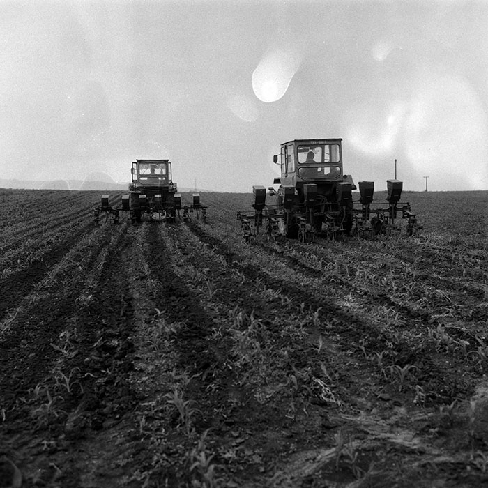 minerva_Agrar_c1_c5r2_019