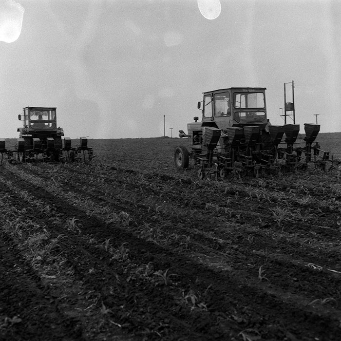 minerva_Agrar_c1_c5r2_020