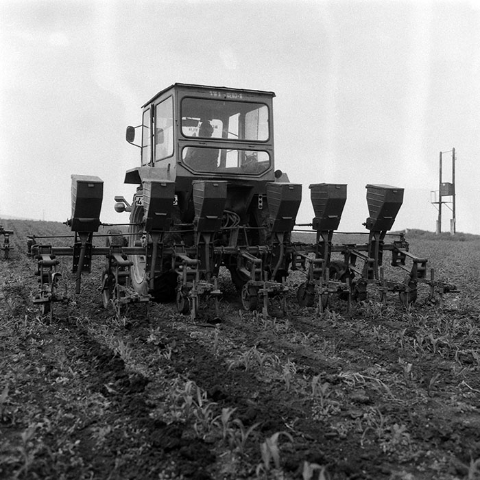 minerva_Agrar_c1_c5r2_022