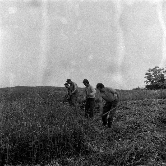 minerva_Agrar_c1_c5r2_023