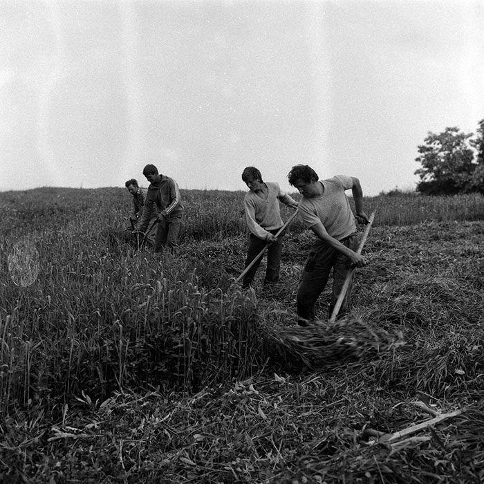 minerva_Agrar_c1_c5r2_024