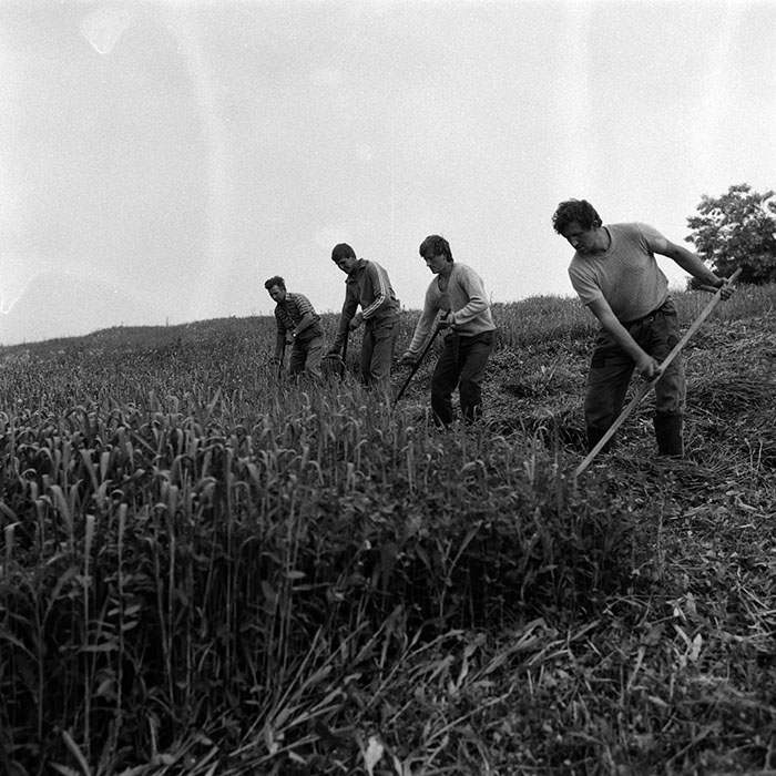 minerva_Agrar_c1_c5r2_025