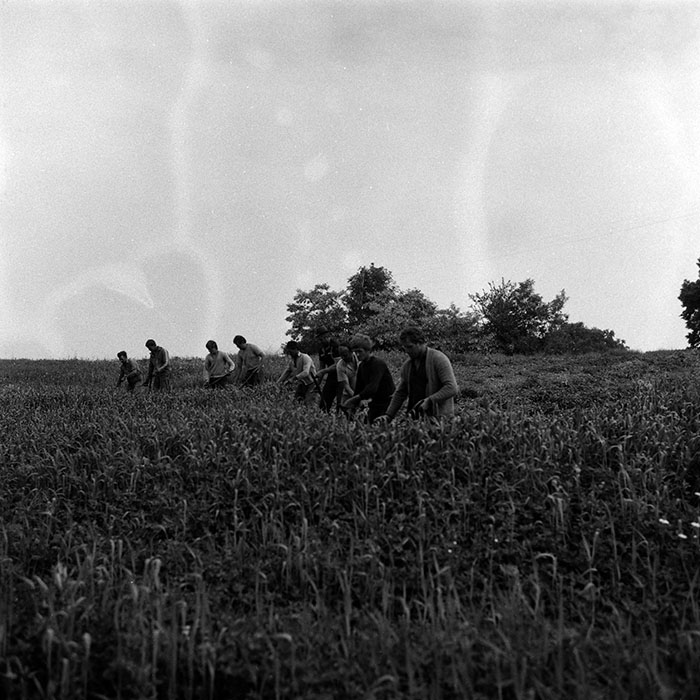 minerva_Agrar_c1_c5r2_026