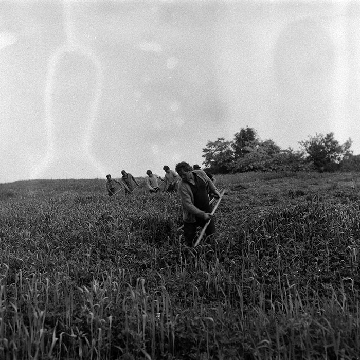 minerva_Agrar_c1_c5r2_027