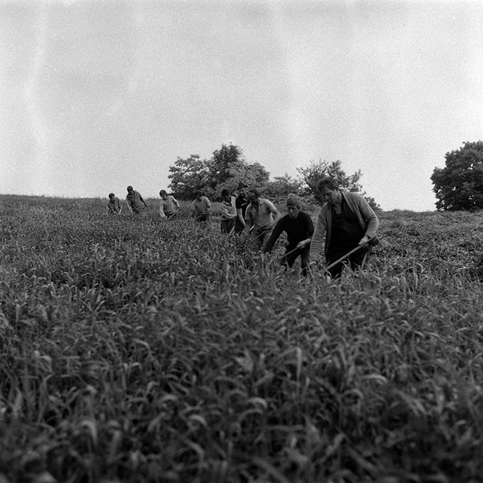 minerva_Agrar_c1_c5r2_028