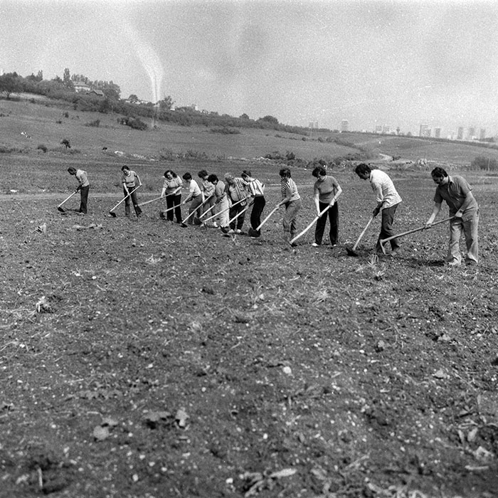 minerva_Agrar_c1_c5r2_029