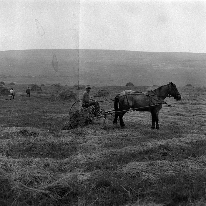 minerva_Agrar_c1_c5r3_001