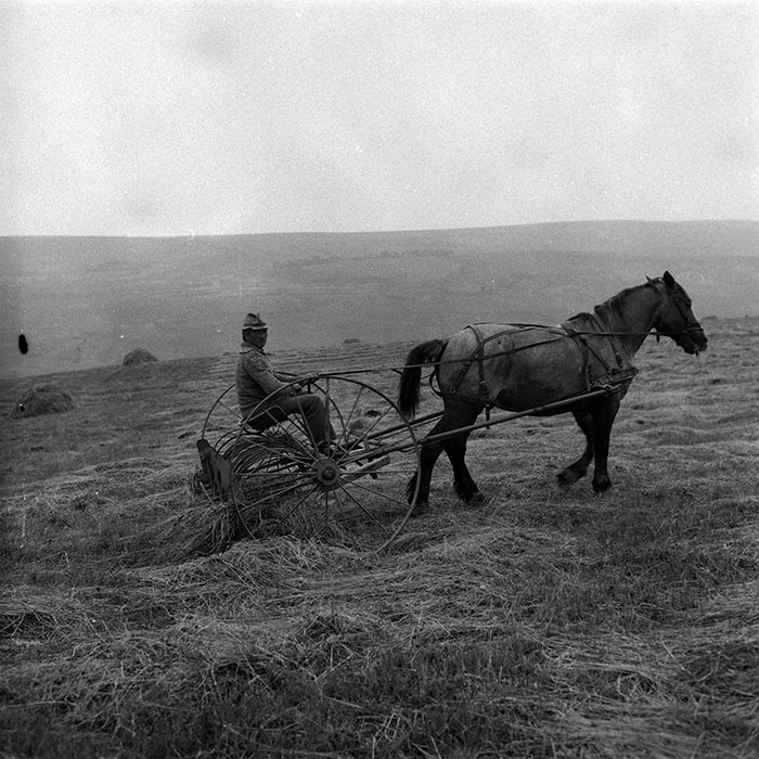 minerva_Agrar_c1_c5r3_002