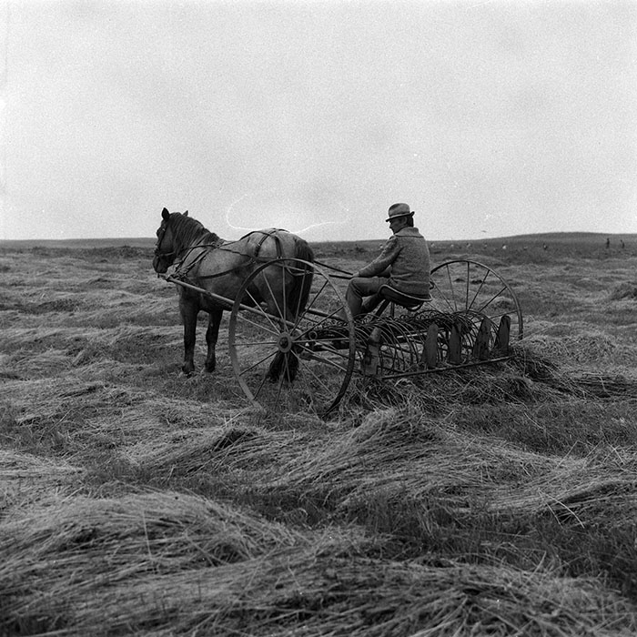 minerva_Agrar_c1_c5r3_003