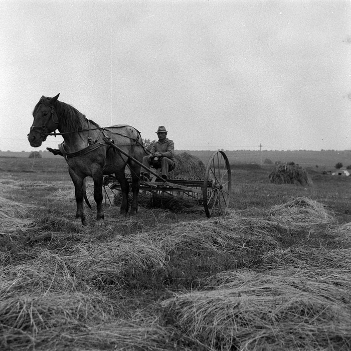 minerva_Agrar_c1_c5r3_004