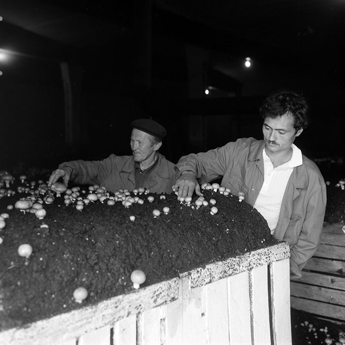 minerva_Agrar_c1_c5r3_006