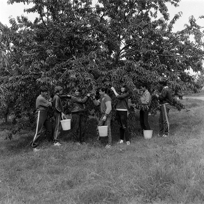 minerva_Agrar_c1_c5r3_009