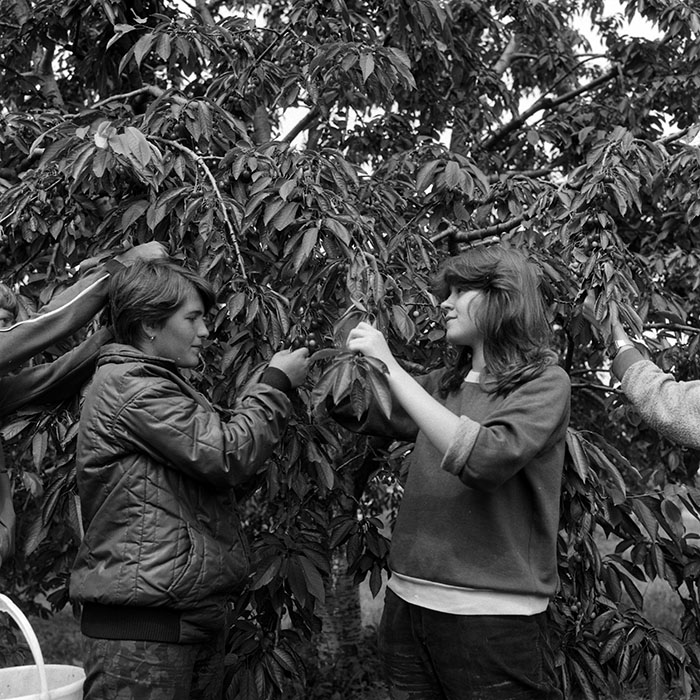 minerva_Agrar_c1_c5r3_010