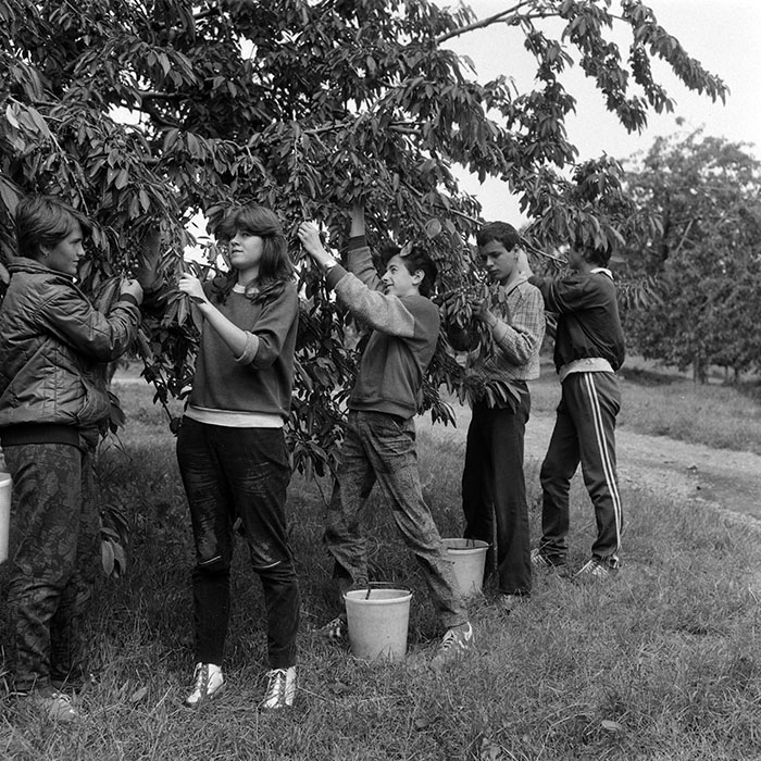 minerva_Agrar_c1_c5r3_011