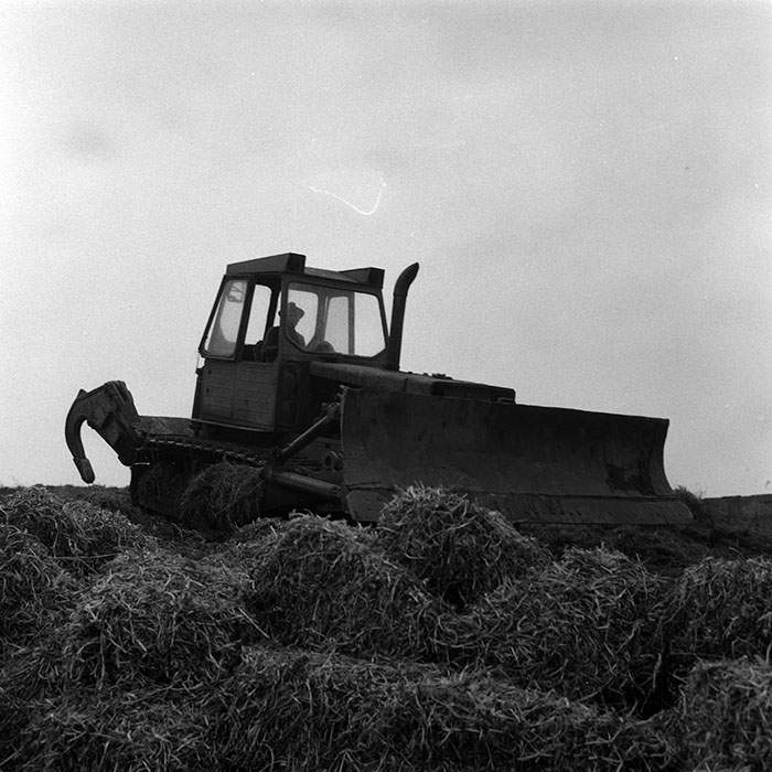 minerva_Agrar_c1_c5r4_008