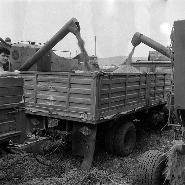 minerva_Agrar_c1_c5r5_001