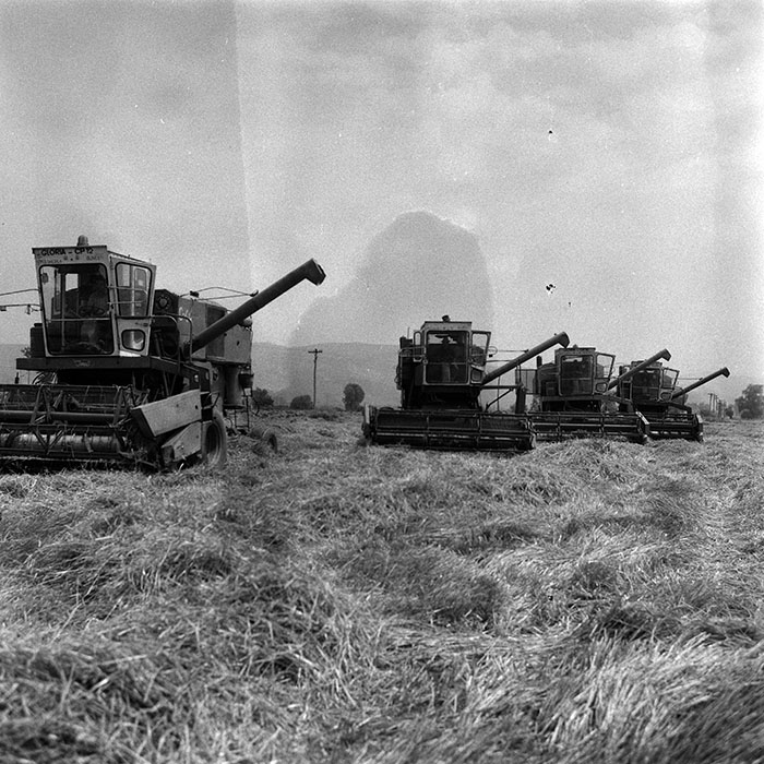 minerva_Agrar_c1_c5r5_002