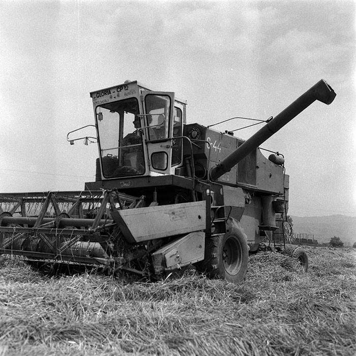 minerva_Agrar_c1_c5r5_005