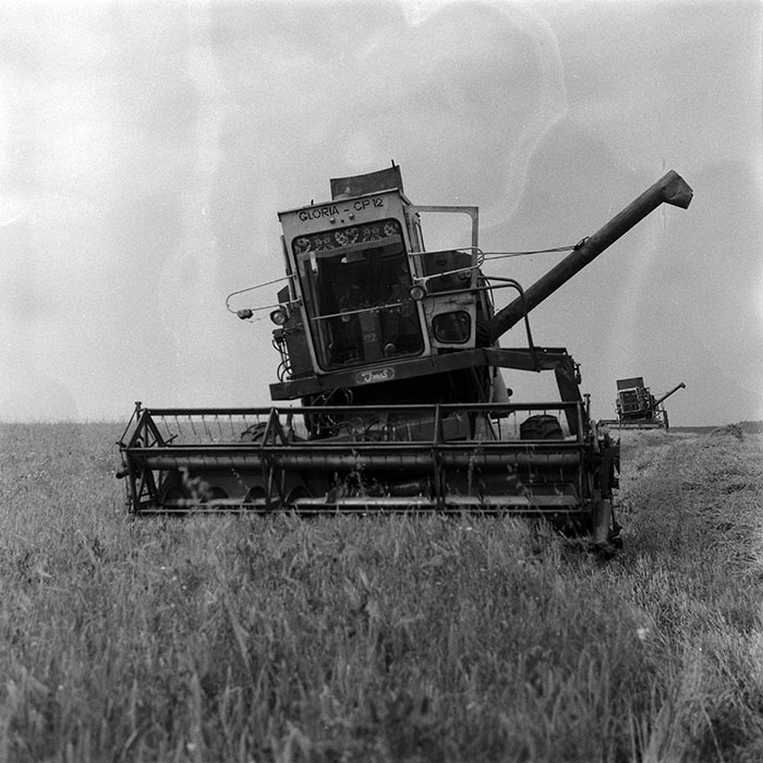 minerva_Agrar_c1_c5r5_006