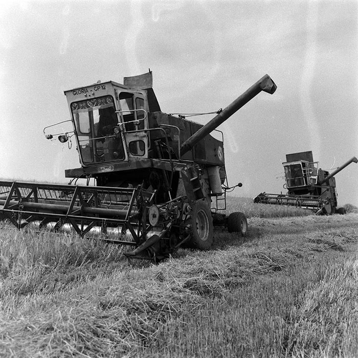 minerva_Agrar_c1_c5r5_008