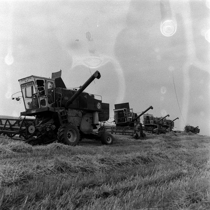 minerva_Agrar_c1_c5r5_010