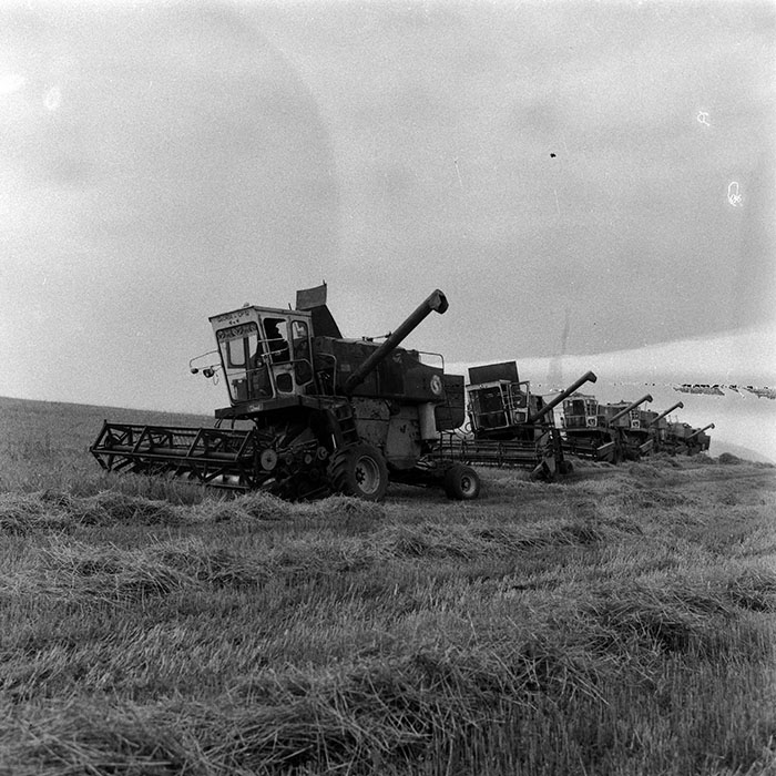 minerva_Agrar_c1_c5r5_011