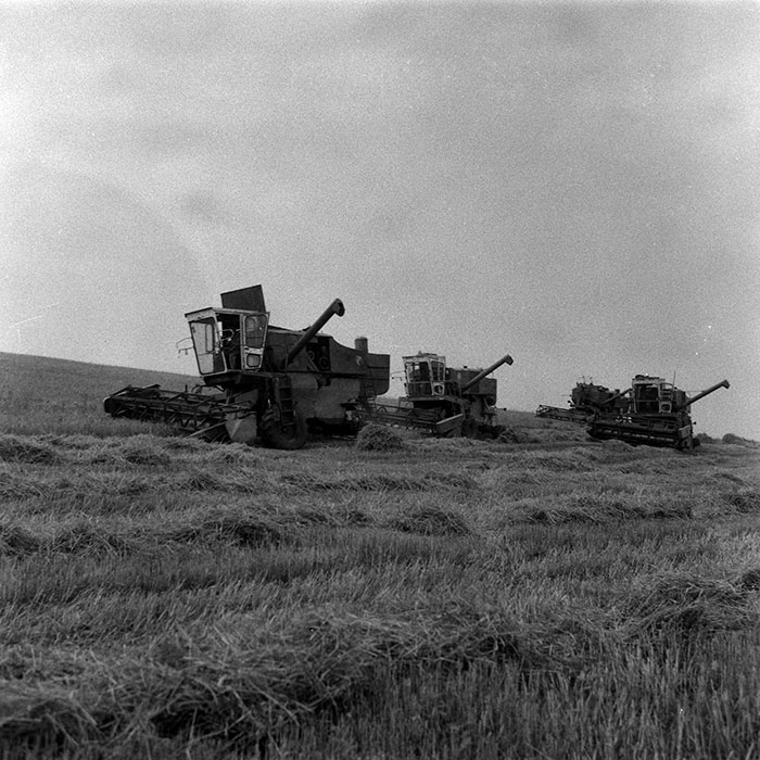 minerva_Agrar_c1_c5r5_012