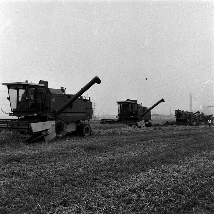 minerva_Agrar_c1_c5r5_013