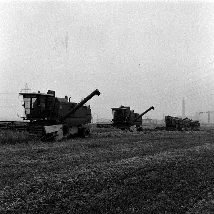 minerva_Agrar_c1_c5r5_014