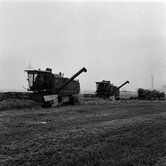 minerva_Agrar_c1_c5r5_015