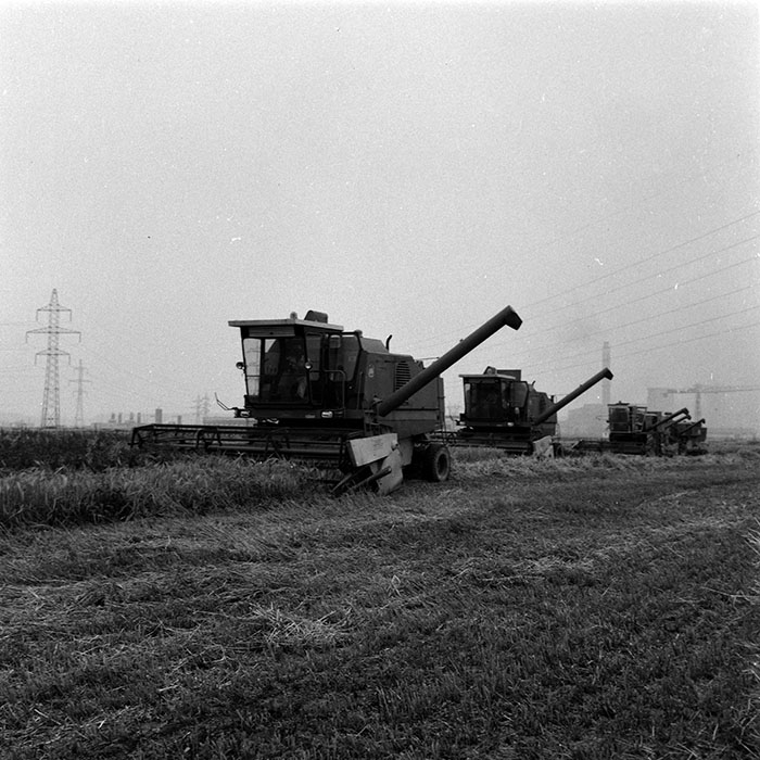 minerva_Agrar_c1_c5r5_016