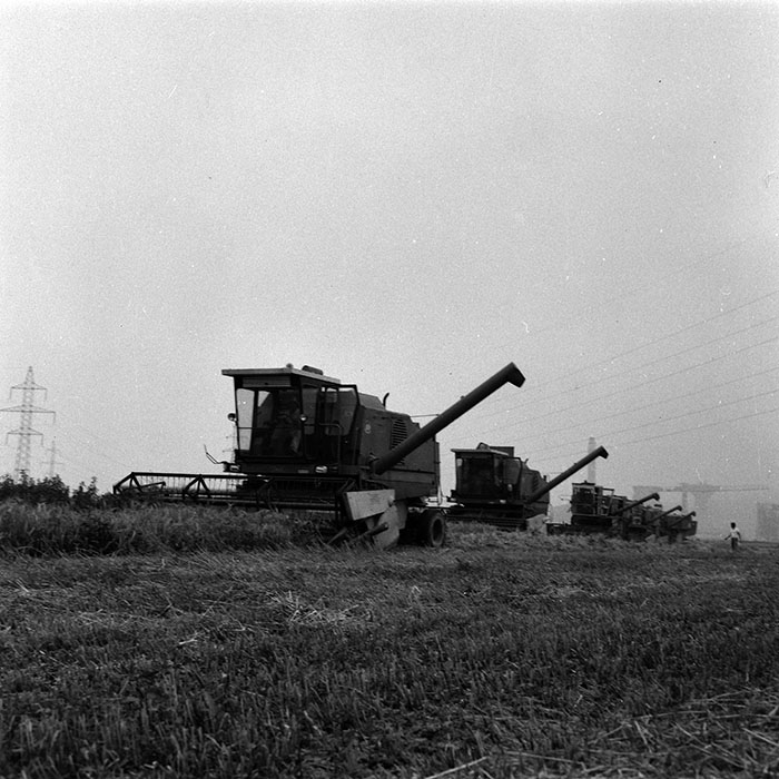 minerva_Agrar_c1_c5r5_017