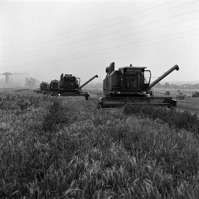 minerva_Agrar_c1_c5r5_018