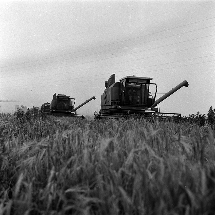 minerva_Agrar_c1_c5r5_019