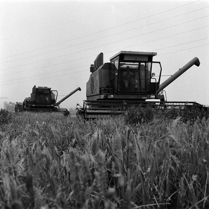 minerva_Agrar_c1_c5r5_020