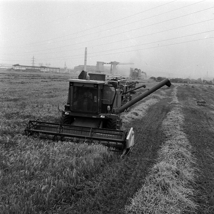 minerva_Agrar_c1_c5r5_021