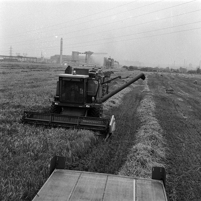 minerva_Agrar_c1_c5r5_022