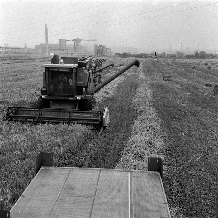 minerva_Agrar_c1_c5r5_023