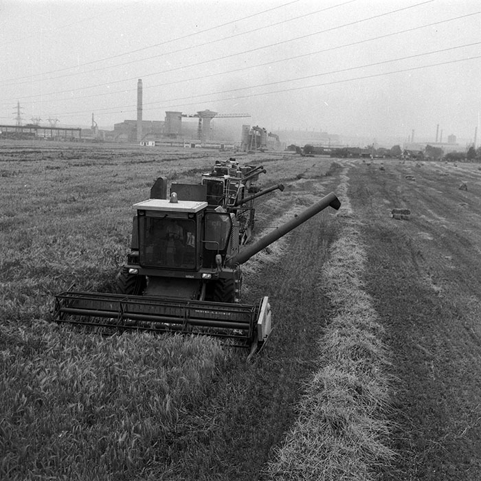 minerva_Agrar_c1_c5r5_024