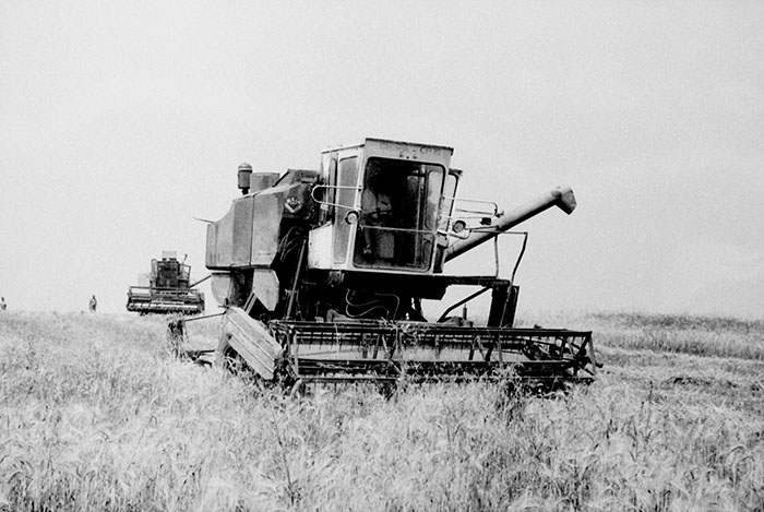 minerva_Agrar_c1_c5r5_025