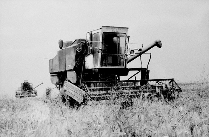 minerva_Agrar_c1_c5r5_026