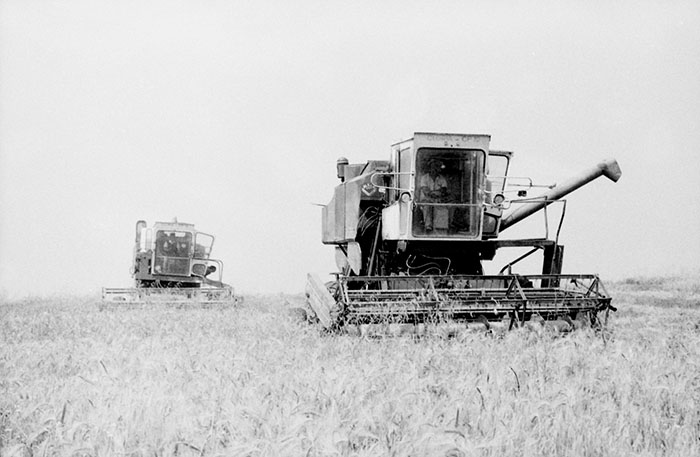 minerva_Agrar_c1_c5r5_027