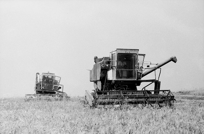 minerva_Agrar_c1_c5r5_028